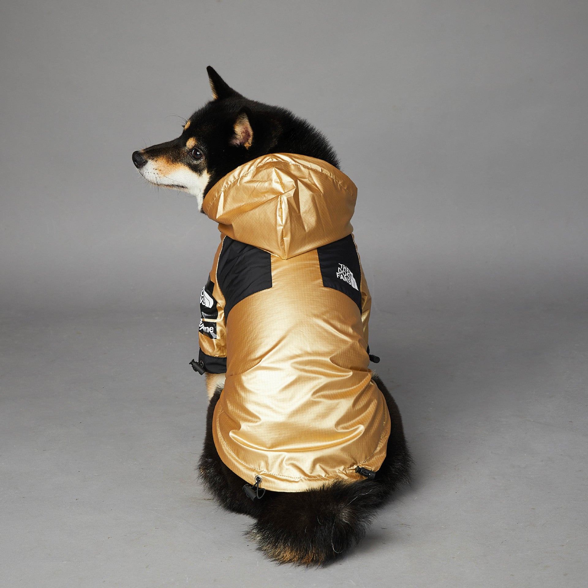 Gold “the dog fans” dog rain coat