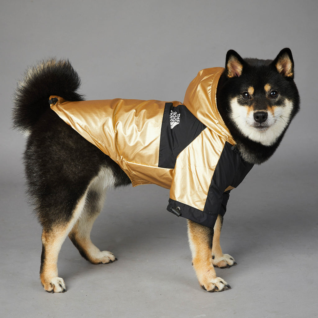 Gold “the dog fans” dog rain coat