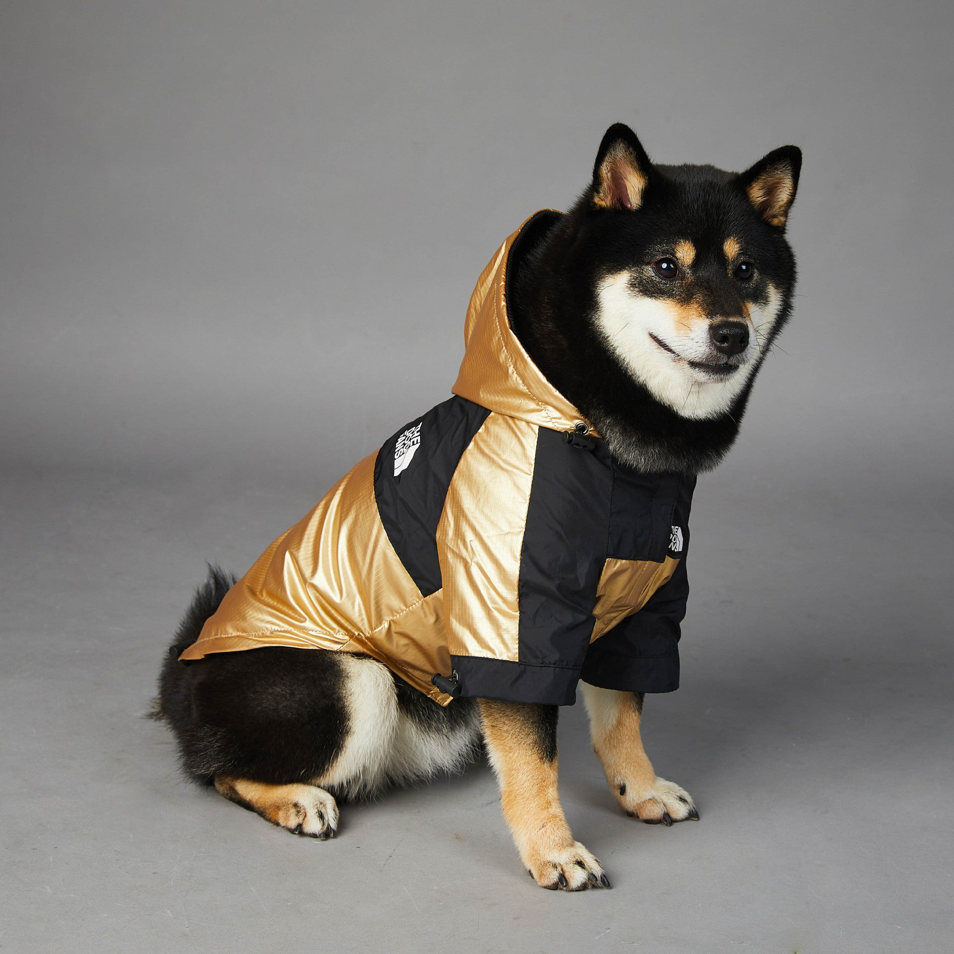 Gold “the dog fans” dog rain coat