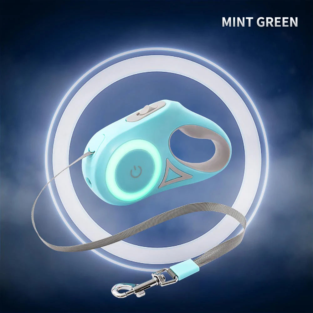 LED 3M Dog Leash
