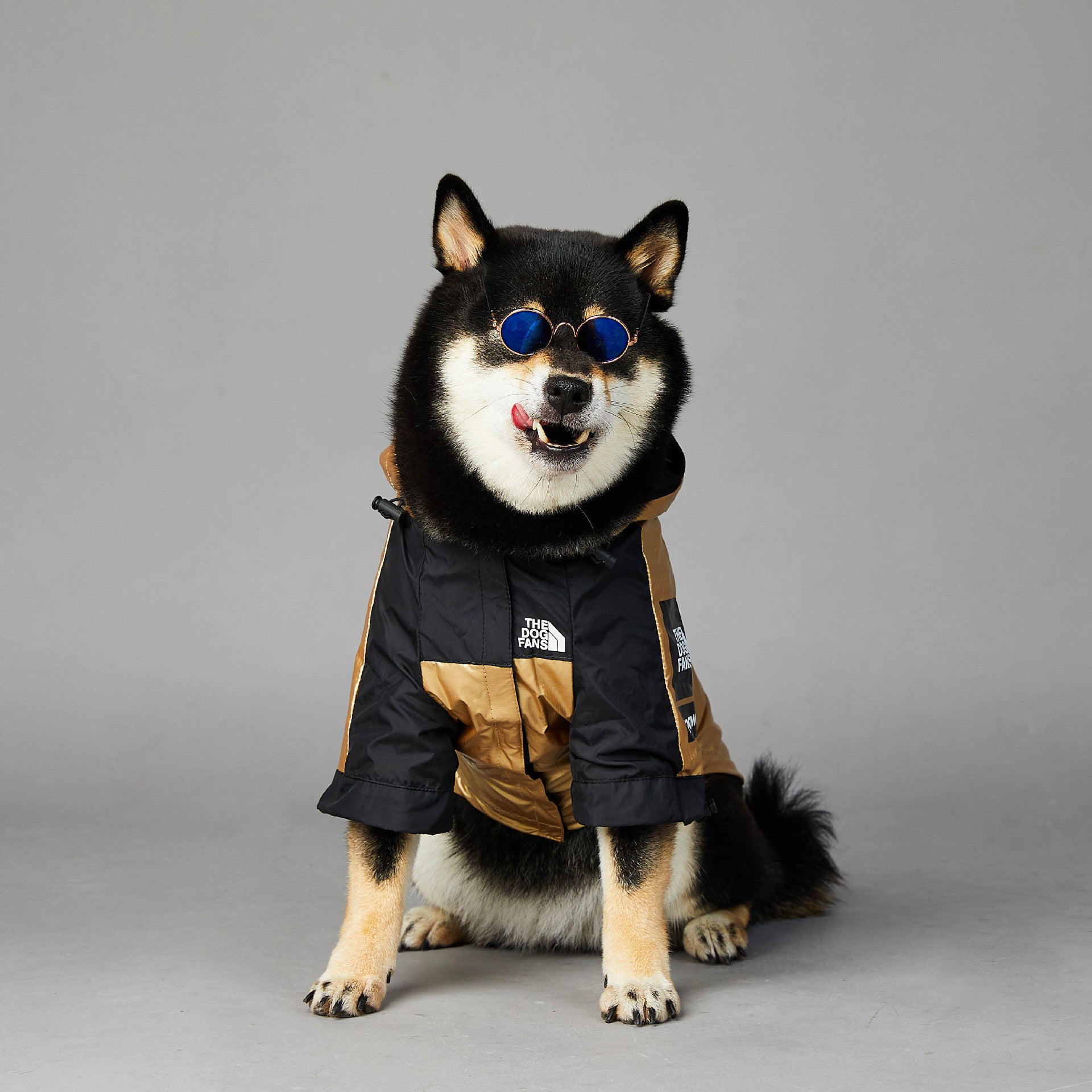 Gold “the dog fans” dog rain coat