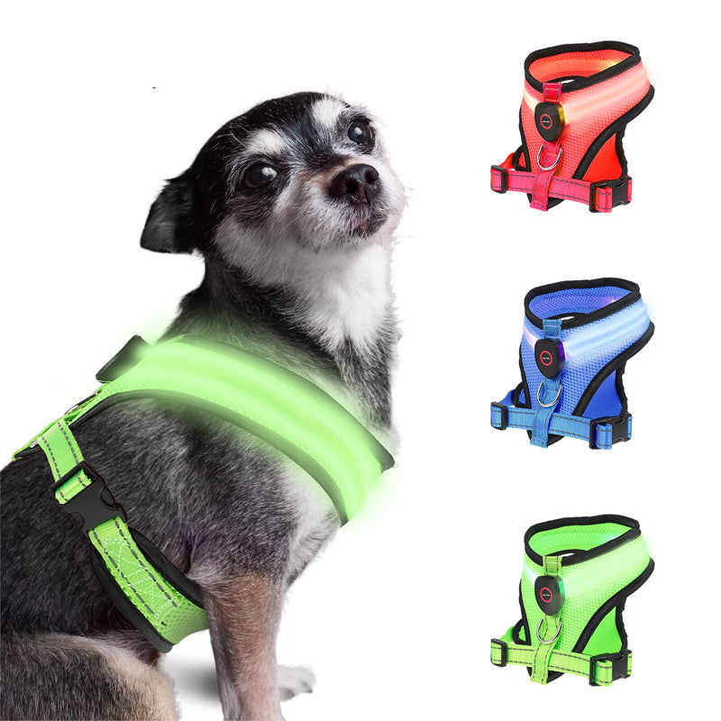 LED Rechargeable Dog Harness