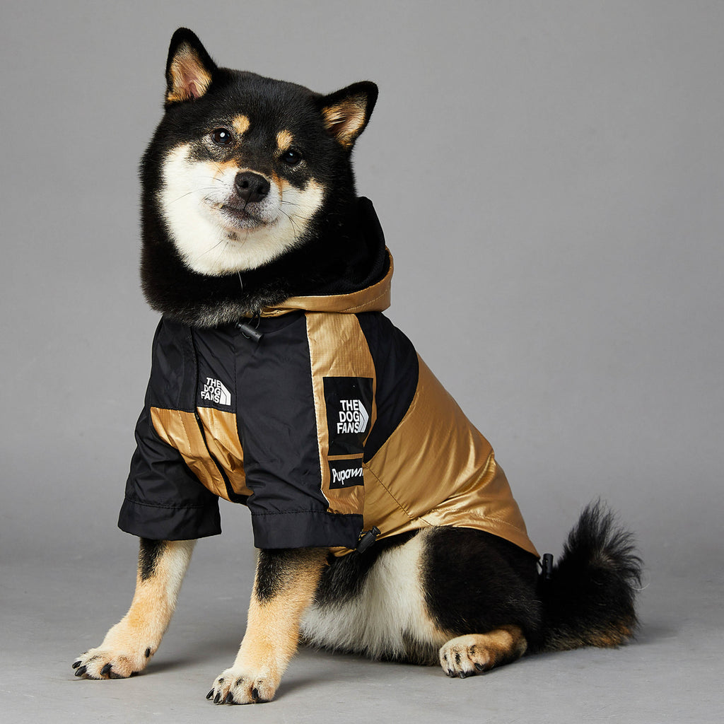 Gold “the dog fans” dog rain coat
