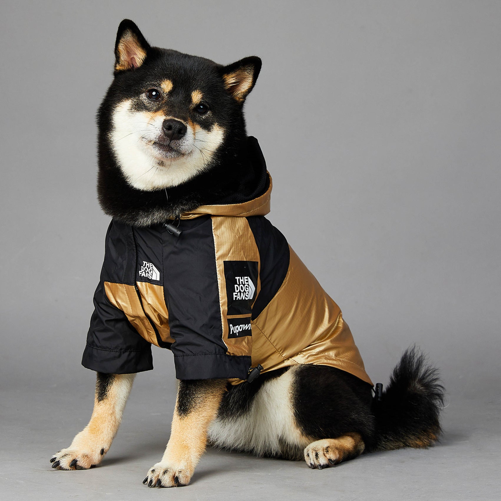 Gold “the dog fans” dog rain coat